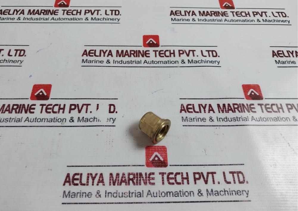 Lot of 2X Saacke 050003 Nut For Rotary Cup