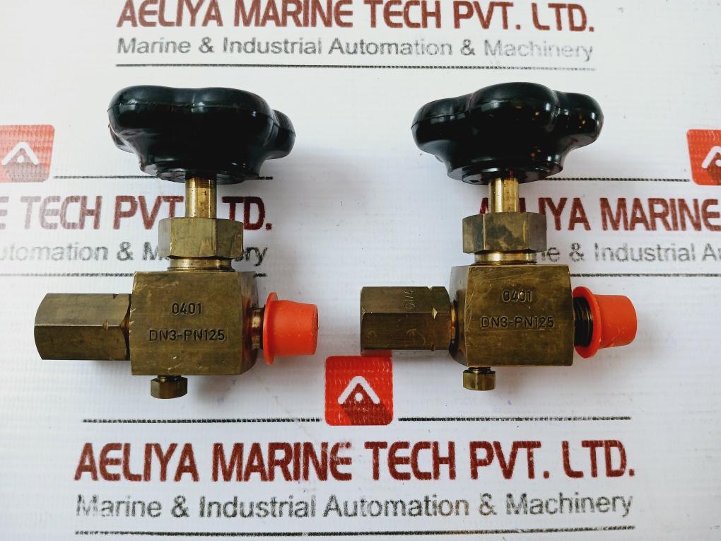 SAACKE DN3-PN125 Needle Shut-Off Valve G1/4