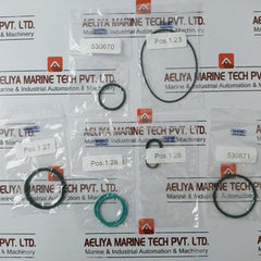 Saacke Esv 12/16/25 Repair Kit For Electromagnetic Valve