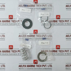 Saacke Esv 12/16/25 Repair Kit For Electromagnetic Valve