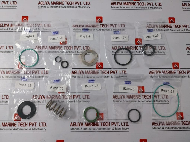 Saacke 41090035 Overhaul Kit For Solenoid Valve Esv 12 Compound Regulator Assy