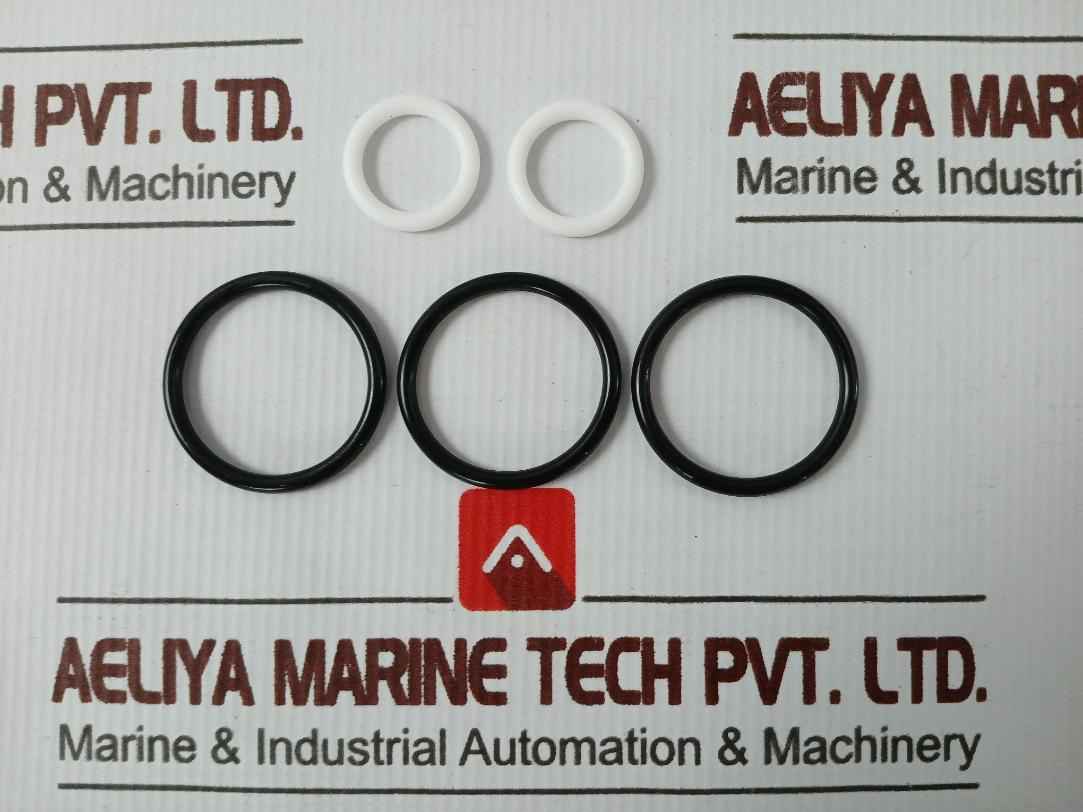 Sae 1931386-02-rk Repair Valve Kit 1/2 2-inlet