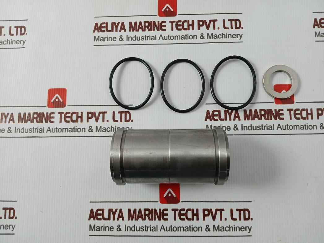 Sae 1931386-03-rk Valve Repair Kit 2-inlet