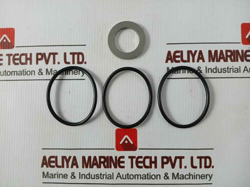 Sae 1931386-03-rk Valve Repair Kit 2-inlet