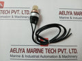 Saginomiya Lcb-pa176 Cartridge Pressure Switch 4A 250V Ac