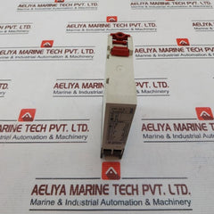 Saia Kop 101 D Multifunction Time Relay 24-240Vac/Dc