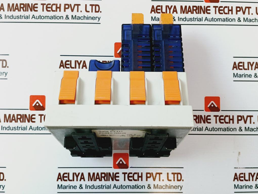 Saia Pcd3.A220 Digital Output Module W/ Pcd3.C100 Holder