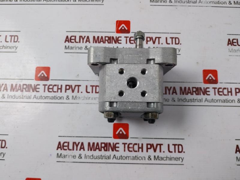 Salami 1Pb1.1D Hydraulic Gear Pump 612870002 1Mf1Pf95G