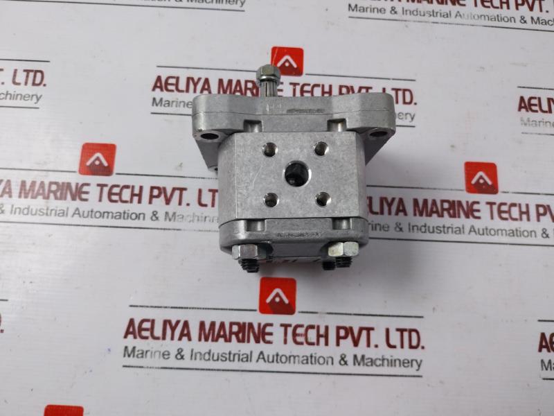 Salami 1Pb1.1D Hydraulic Gear Pump 612870002 1Mf1Pf95G