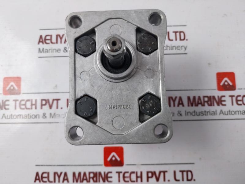 Salami 1Pb1.1D Hydraulic Gear Pump 612870002 1Mf1Pf95G