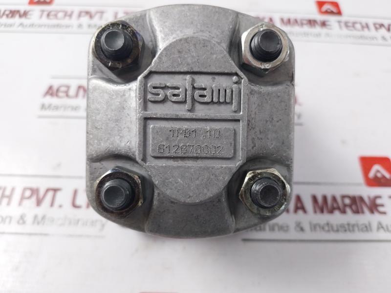 Salami 1Pb1.1D Hydraulic Gear Pump 612870002 1Mf1Pf95G