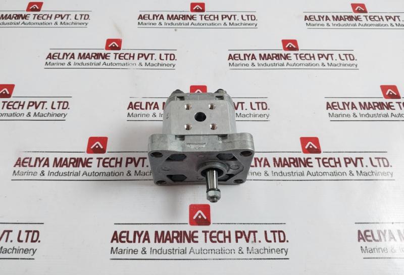 Salami 1pb/1.1d Hydraulic Gear Pump 612870002