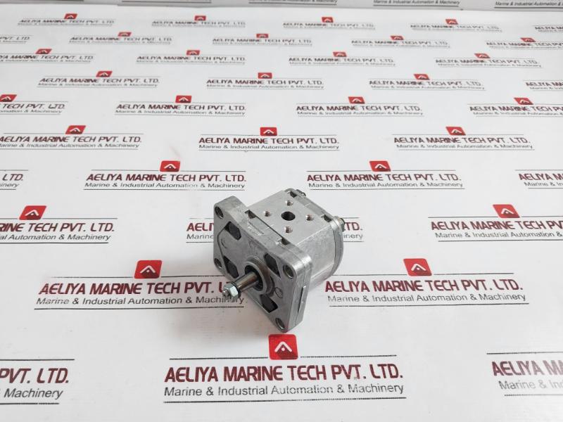 Salami 1pb/1.1d Hydraulic Gear Pump 612870002