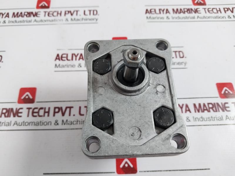 Salami 1pb/1.1d Hydraulic Gear Pump 612870002