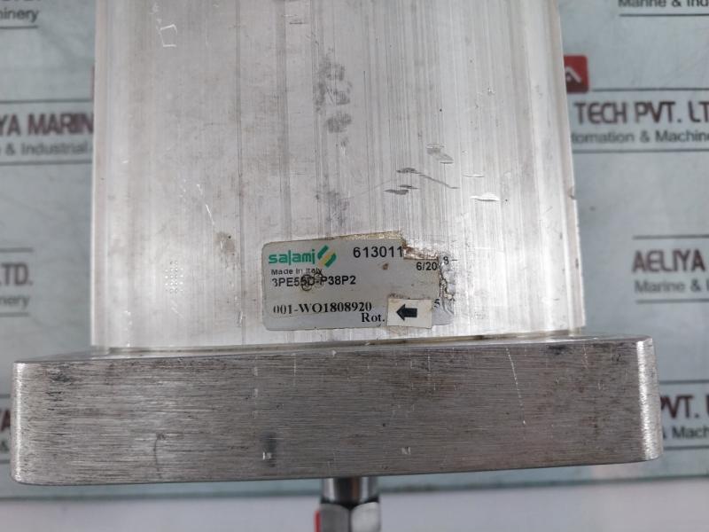 Salami 3Pe55D-p38P2 Norwinch Pump 113003501 Lh: 512175714 , 512175714411