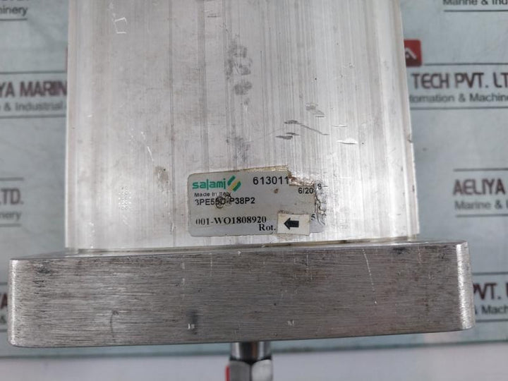 Salami 3Pe55D-p38P2 Norwinch Pump 113003501 Lh: 512175714 , 512175714411