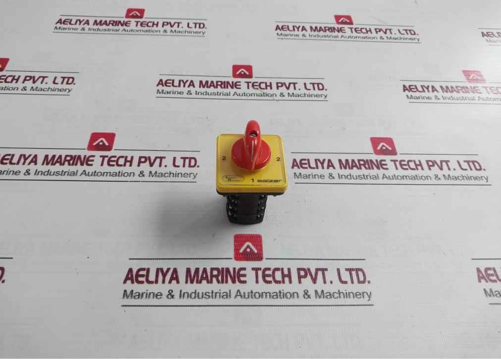 Salzer 10A-s10-61040-b13-tdyr Cam Operated Rotary Switch Iec60947-3