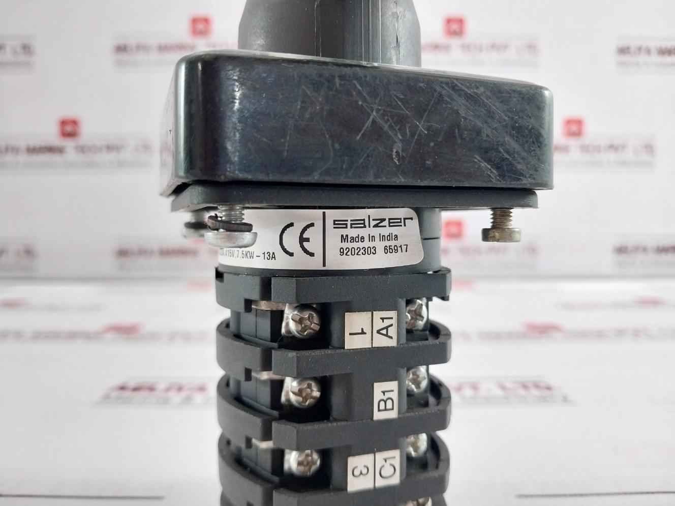 Salzer 16A-s16-61040-b90-pgbb Rotary Switch 690V 16A