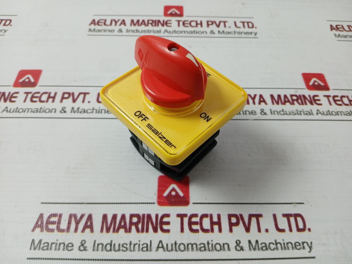 Salzer 32A-s32-61197-b03-tdyr Operated Rotary Switch 690V-32A