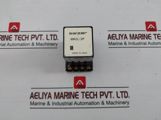 Salzer Mkg 2P 24 Miniature Relay With Base Pf083A 24 Vdc