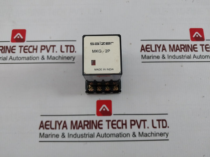Salzer Mkg 2P 24 Miniature Relay With Base Pf083A 24 Vdc