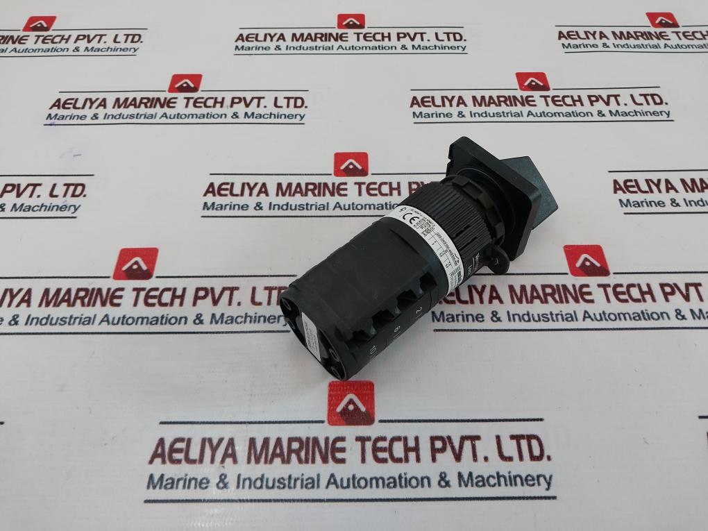 Salzer P220-61069-219M1 Rotary Cam Switch 20A, 300Vac