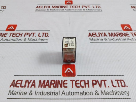 Salzer Power Relay 5A 240Vac Msp-2P