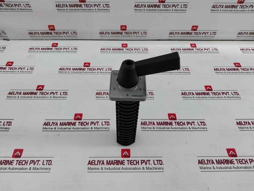 Salzer Rotary Cam Switch