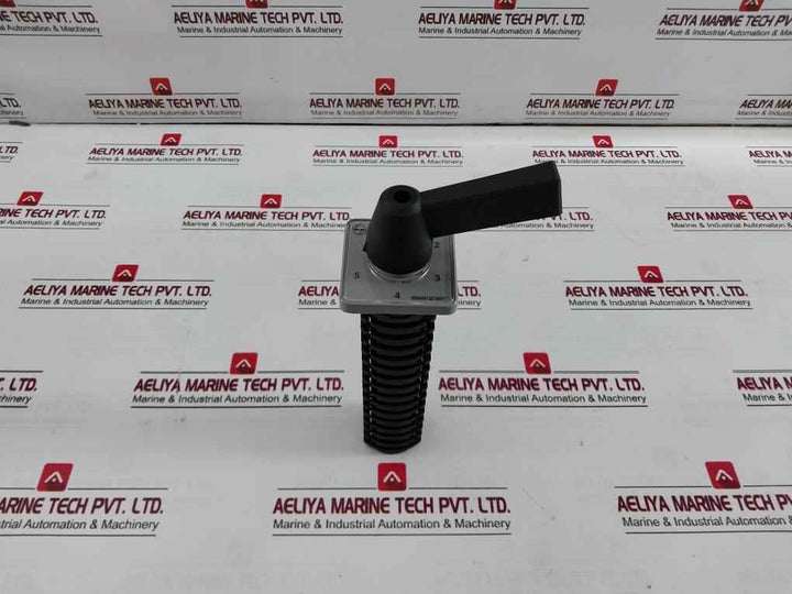 Salzer Rotary Cam Switch