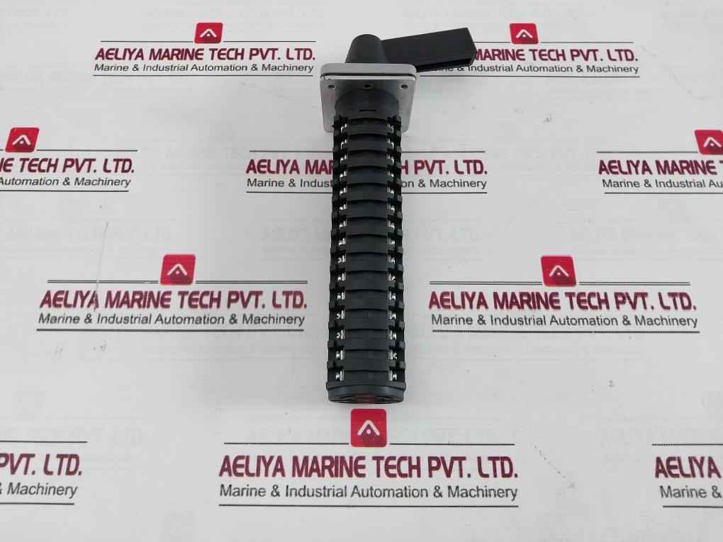 Salzer Rotary Cam Switch