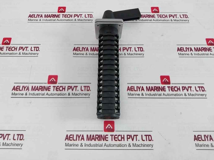Salzer Rotary Cam Switch