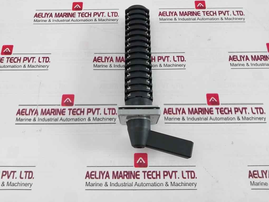 Salzer Rotary Cam Switch