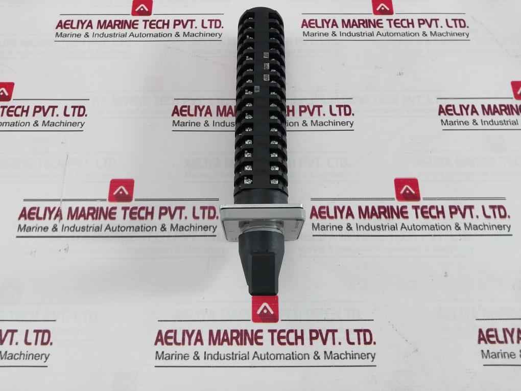 Salzer Rotary Cam Switch