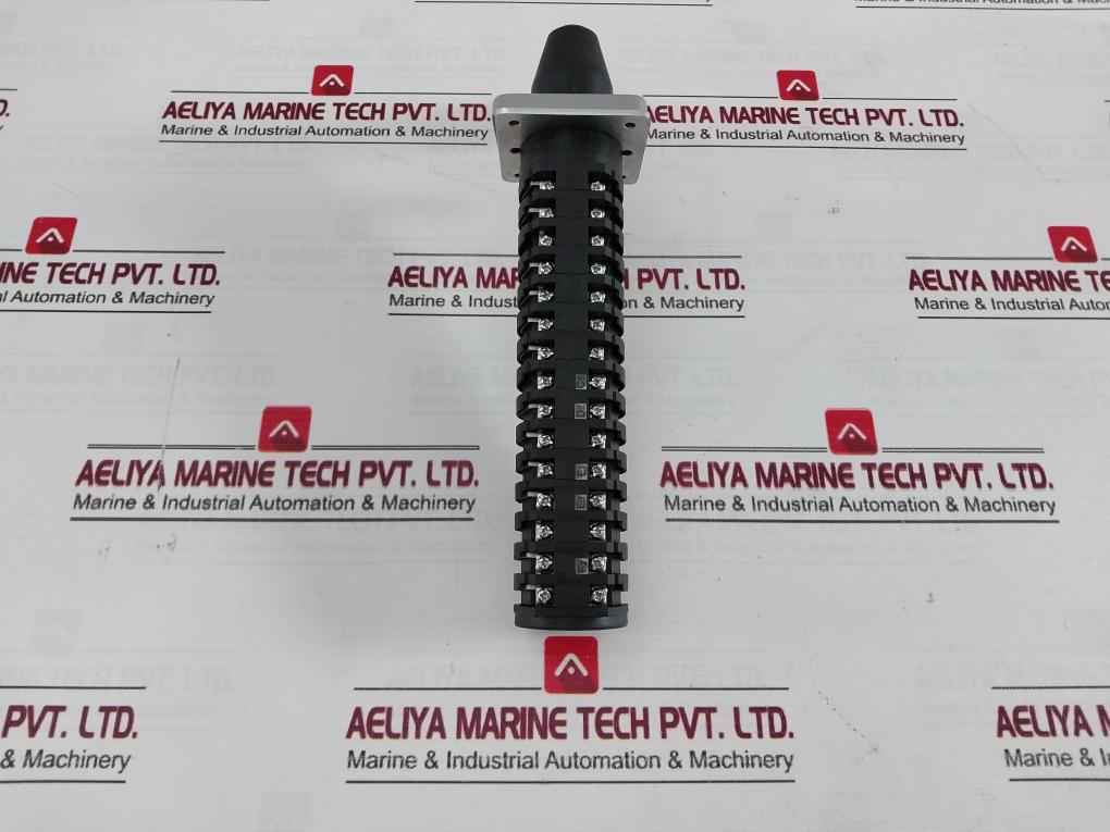 Salzer Rotary Cam Switch