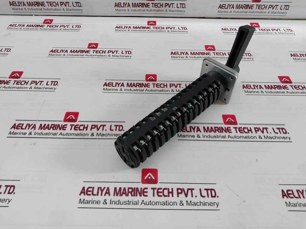 Salzer Rotary Cam Switch