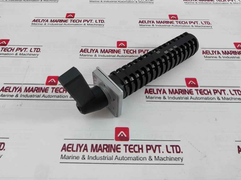 Salzer Rotary Cam Switch