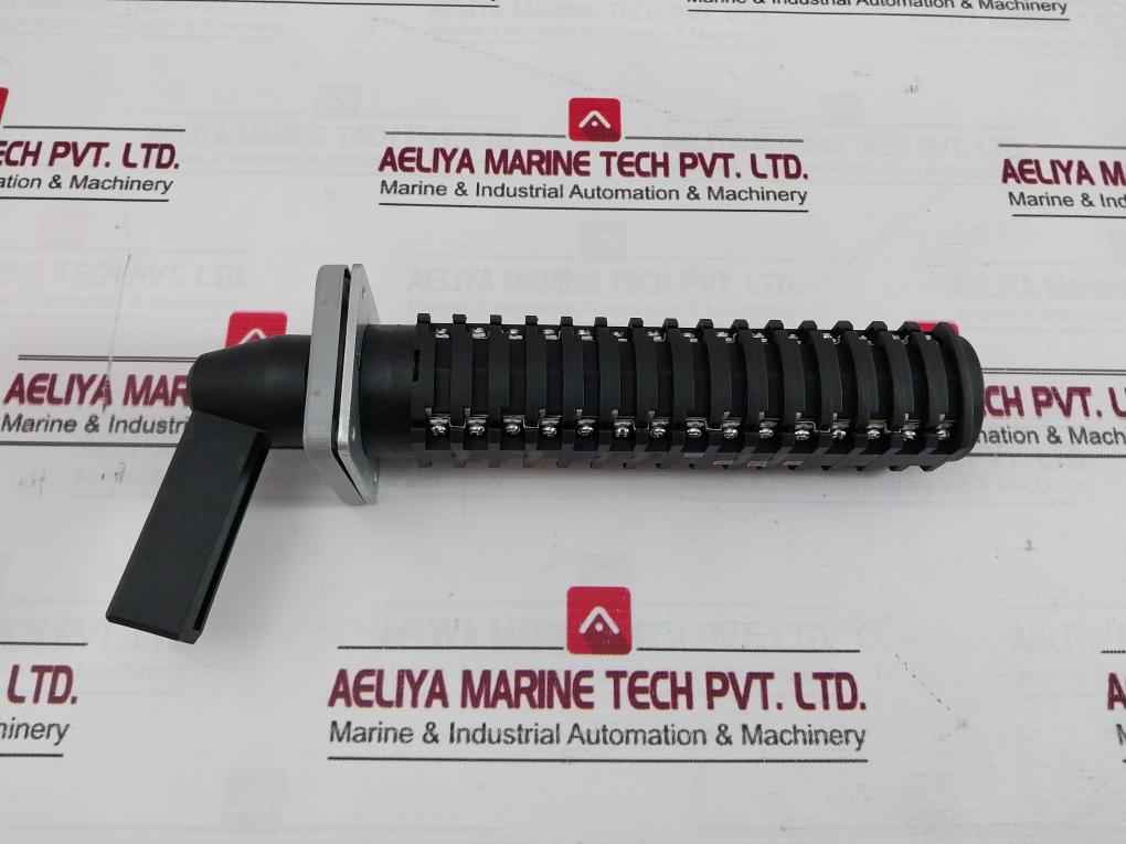 Salzer Rotary Cam Switch