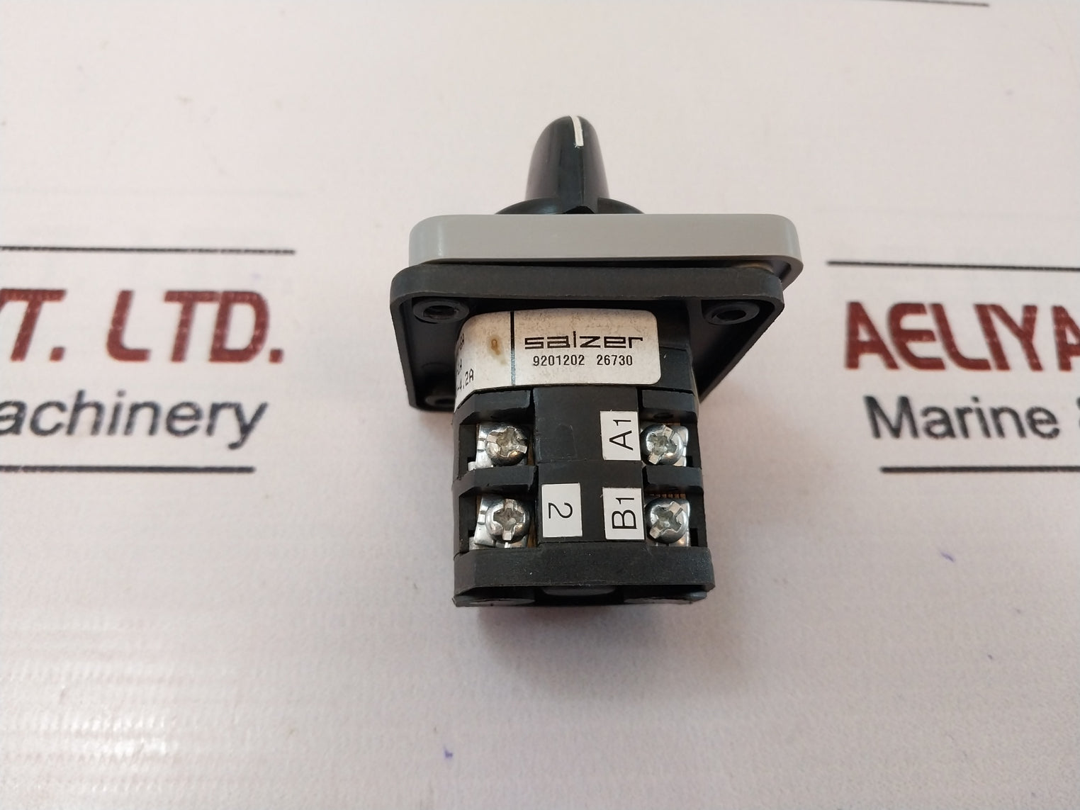 Salzer S6-61152-b13-tdyr Cam Operated Rotary Switch