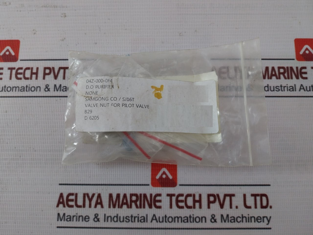 Samgong B29 Valve Nut 420937001-k, 04Z-000-0F4