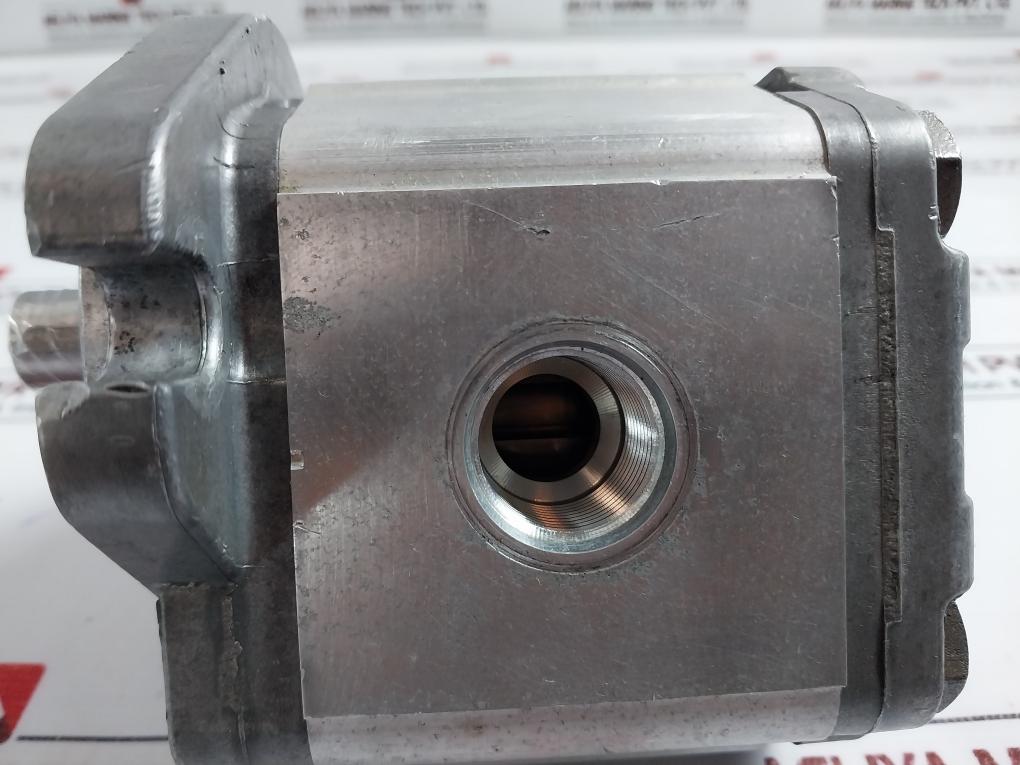 Sauer Danfoss 111.20.243.00 Gear Pump Snp2Nn/011Rn06Ga