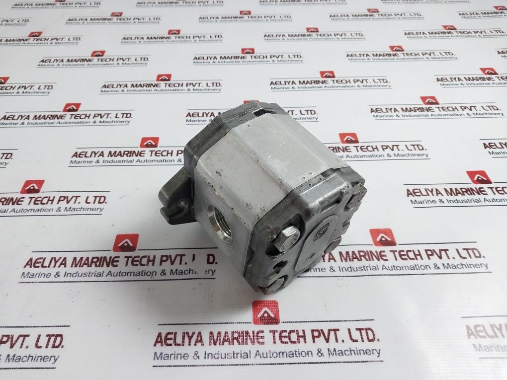 Sauer Danfoss 111.20.243.00 Gear Pump Snp2Nn/011Rn06Ga