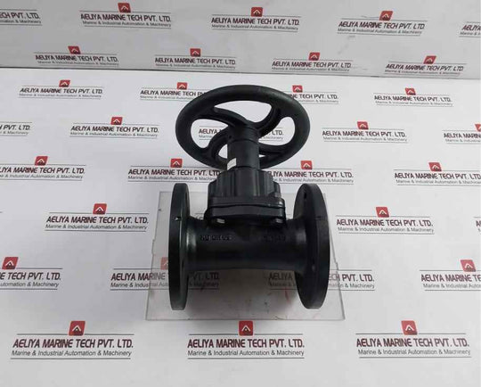 Saunders 445269-001 Crane Diaphragm Valve Dn65 Pn10 10 Bar