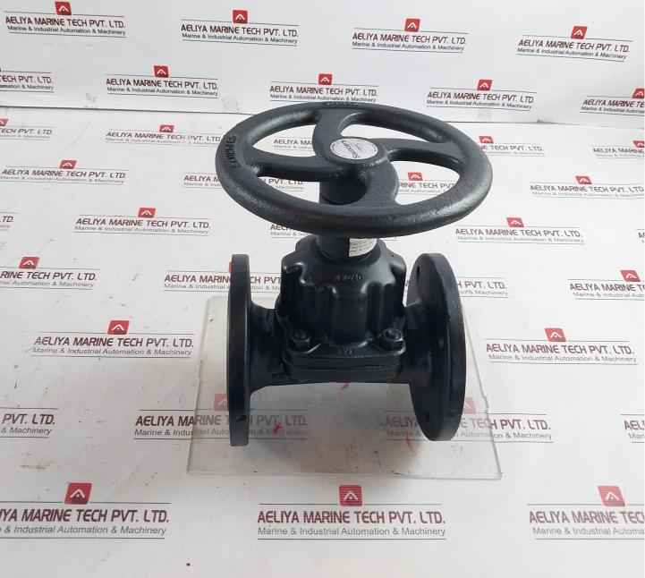 Saunders 445269-001 Crane Diaphragm Valve Dn65 Pn10 10 Bar