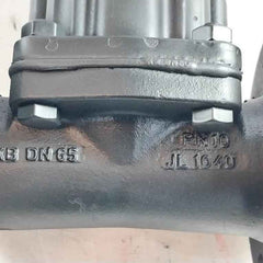 Saunders 445269-001 Crane Diaphragm Valve Dn65 Pn10 10 Bar