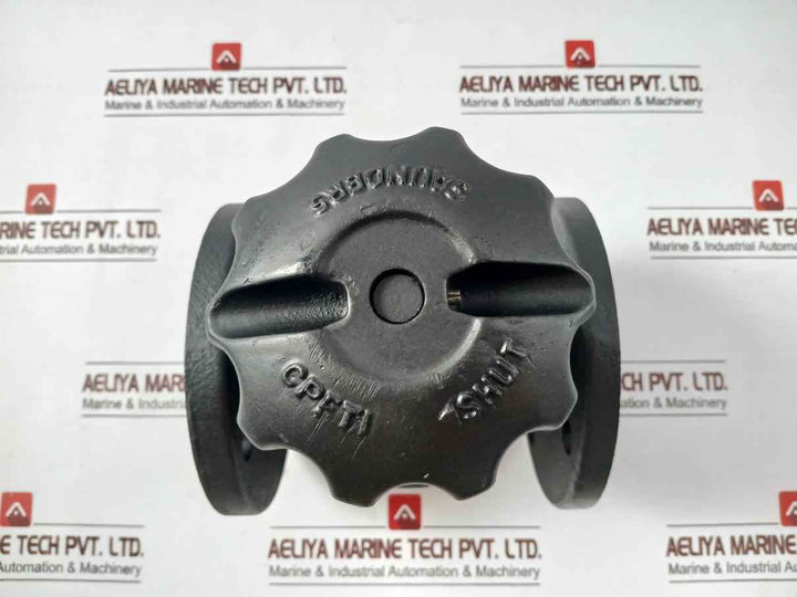 Saunders Cpfti Diaphragm Valve Pn10 10 Bar 445269-003