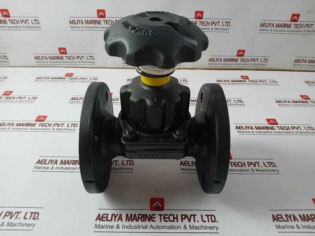 Saunders Cpfti Diaphragm Valve Pn10 10 Bar 445269-003