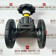 Saunders Cpfti Diaphragm Valve Pn10 10 Bar 445269-003
