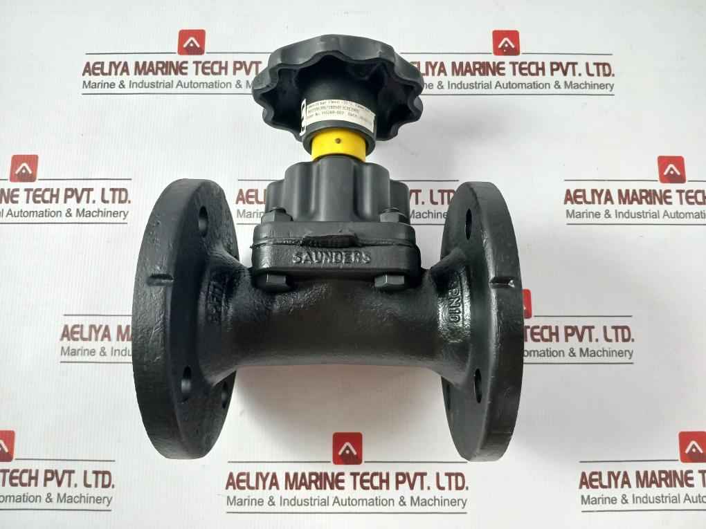 Saunders Cpfti Diaphragm Valve Pn10 10 Bar 445269-003