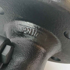 Saunders Cpfti Diaphragm Valve Pn10 10 Bar 445269-003