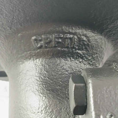 Saunders Cpfti Diaphragm Valve Pn10 10 Bar 445269-003